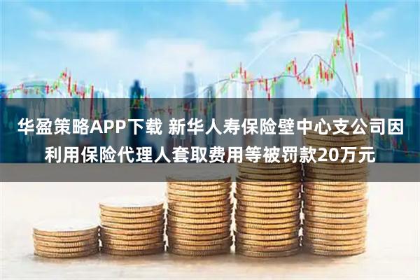 华盈策略APP下载 新华人寿保险壁中心支公司因利用保险代理人套取费用等被罚款20万元